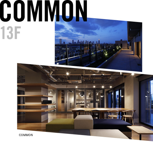 13F COMMON