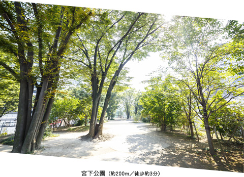 宮下公園(約200m/徒歩約3分)